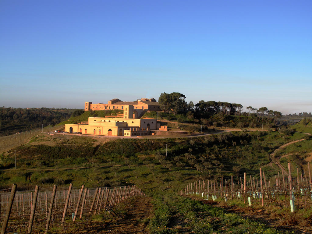 Wine Relais Feudi Del Pisciotto Villa Niscemi Exteriör bild